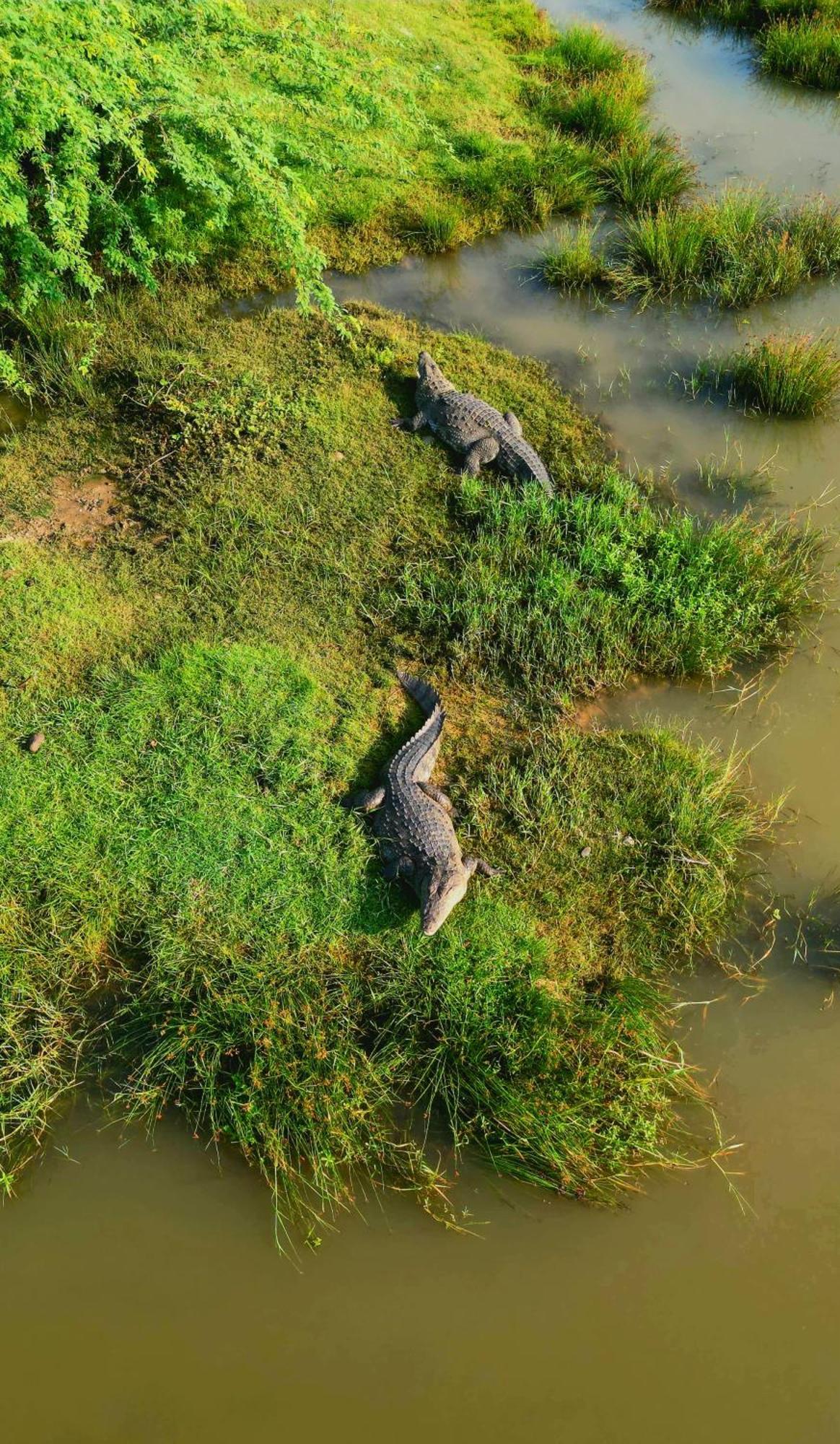 New Cormorant Lake Resort & Yala Safari Place Тиссамахарама Экстерьер фото